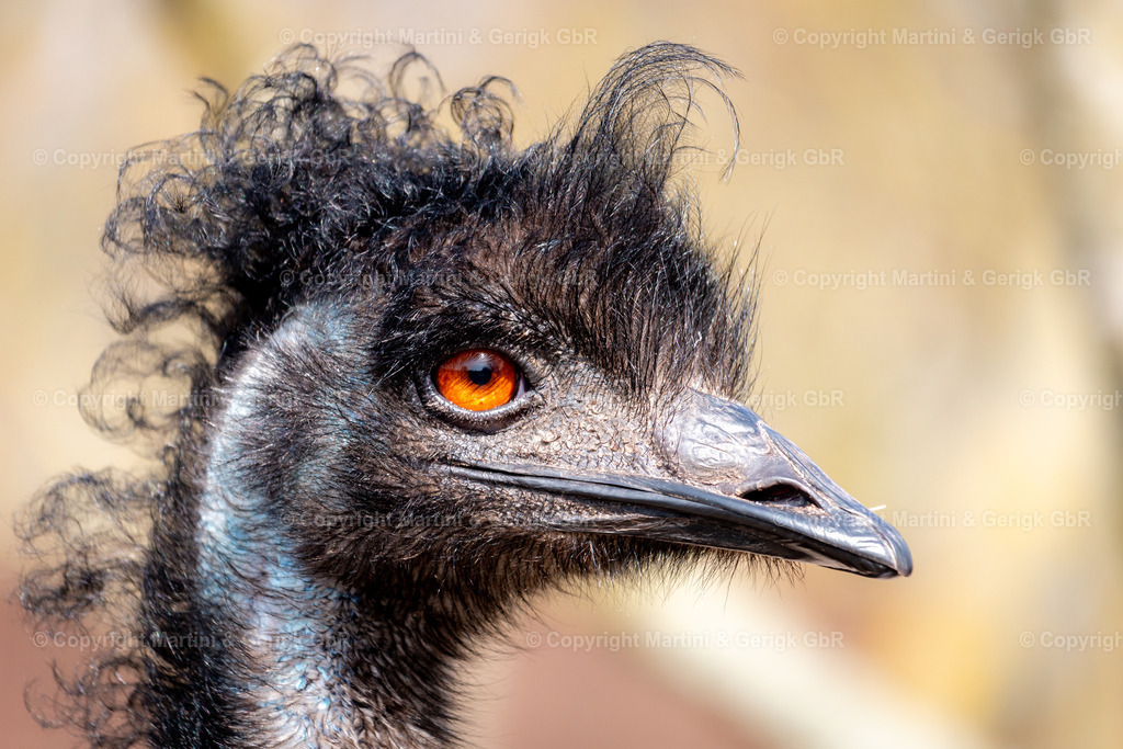 Markus Gerigk_56 | Martini & Gerigk - Realisiert mit Pictrs.com