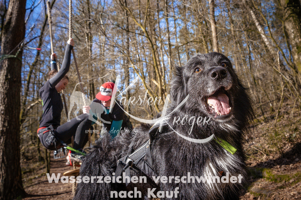 0938_ZZ99316 | kk-dogfotos