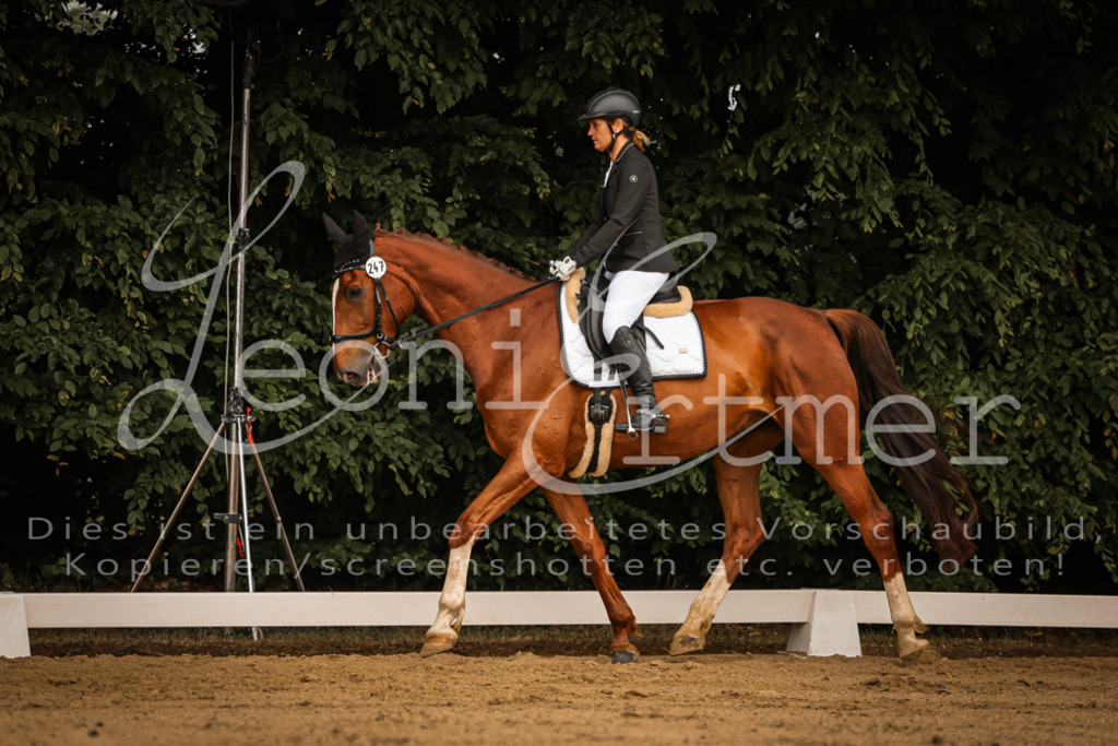 DoDrA00047 | Leoni Ertmer Photography - Realisiert mit Pictrs.com