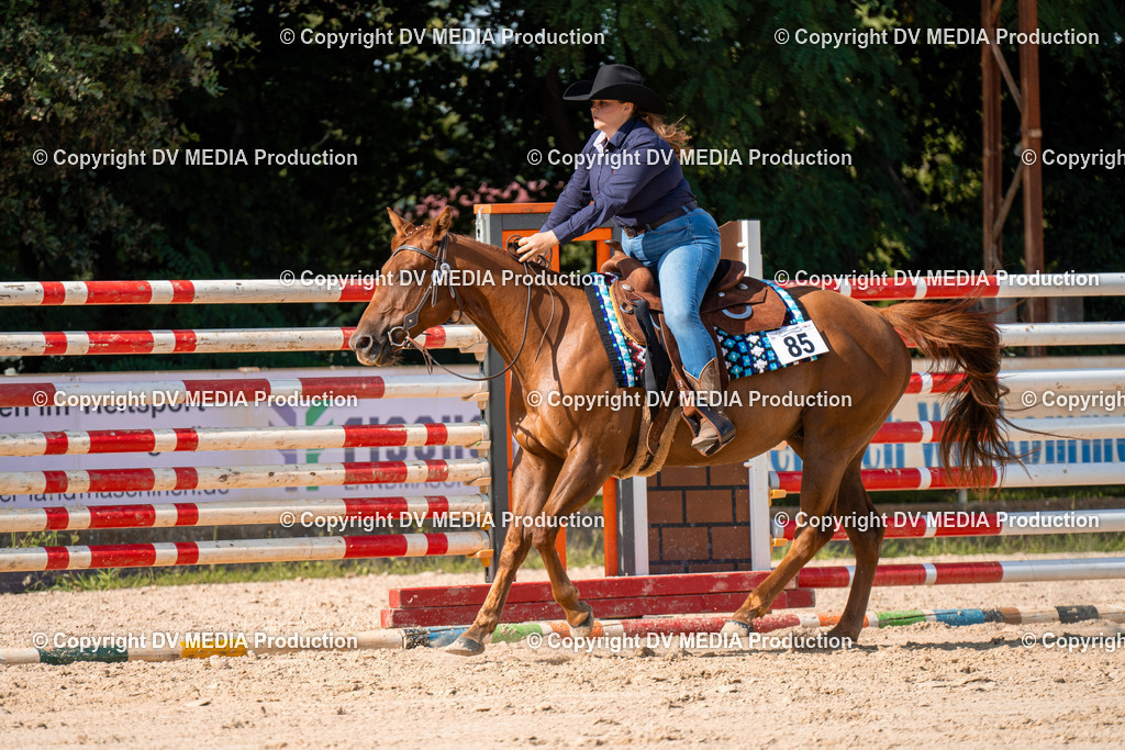 ZH100716 | dv-media-shop - Realisiert mit Pictrs.com