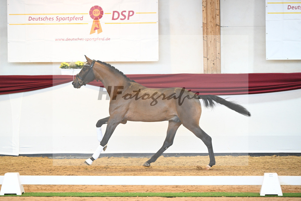 Kat-Nr. 10 v. Bonds_Klenk u Schneider-Gaertner_66221725 | hf-fotografie - Realisiert mit Pictrs.com