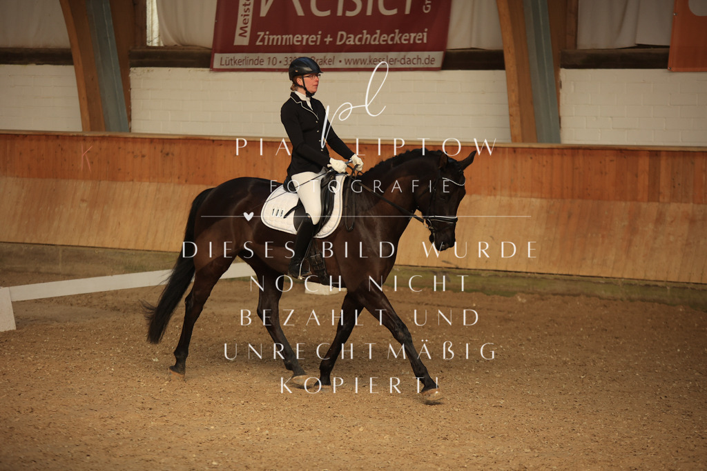 IMGT4512 | pl-fotografie