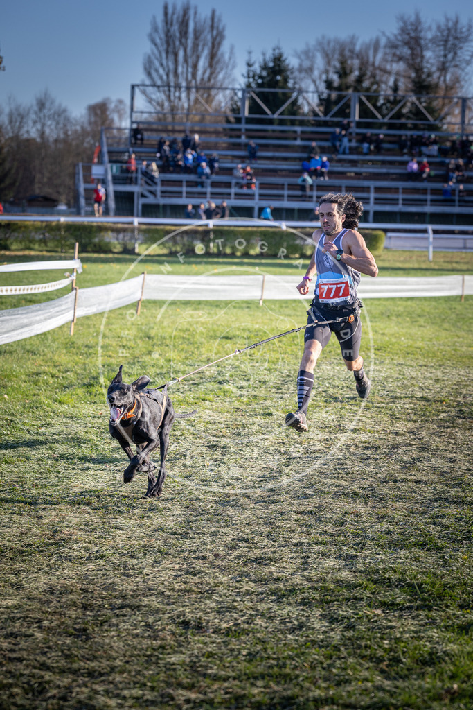 CaniXpix_DV3A2755 | Hundefotografie, Tierfotograf, Pfotenfotografie, Fotoshooting Hund, Hunde Portrait, Hundesport, Hundeportraits, Heideshooting, Hunde, Sportfotograf, Hundefotograf, Turnierhundsport, THS,  - Realisiert mit Pictrs.com