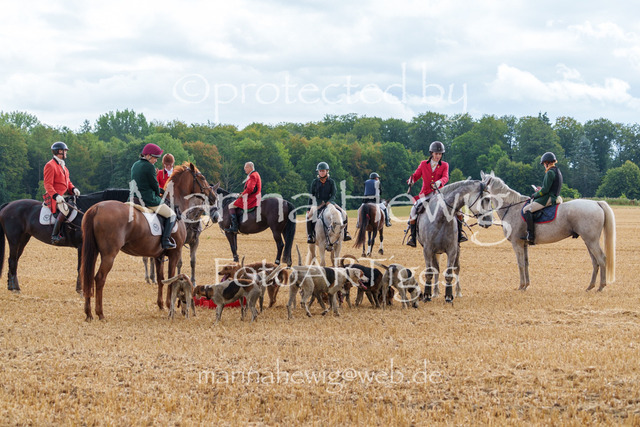 Jagd Knoop 26_MarinaHewigMCH02663 | Fotografie, FotoArt, PferdesportArt, Pferdesportfotografie, Landschaftsfotografie, Reisefotografie, Reise, Pferde - Realisiert mit Pictrs.com