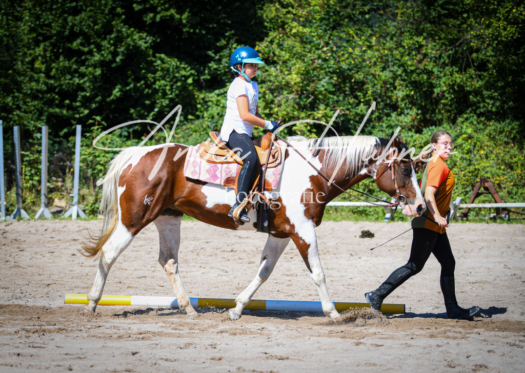 DSC_0412 | anikahuebner - Realisiert mit Pictrs.com