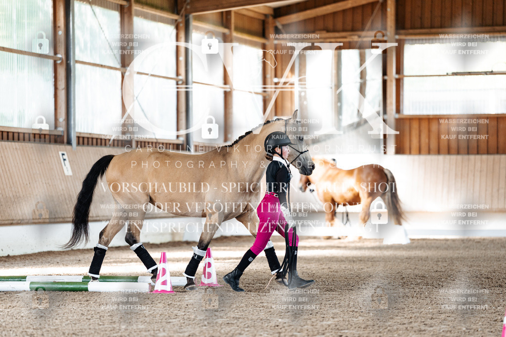 CK905373 | Turnierfotografie Pferdefotografie Trier Rheinland-Pfalz Pferdesport Reitsport Tierfotografie Sportfotografie Pferdevideo Pferdevideografie Equestrianvideography equestrianphotography  - Realisiert mit Pictrs.com