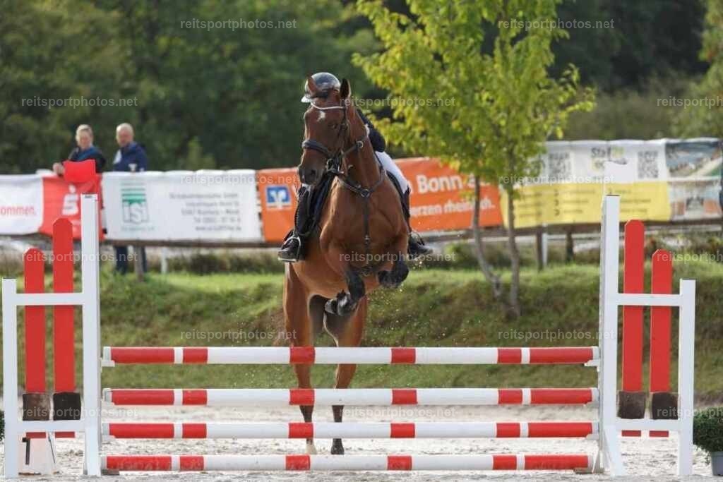 JoYaR3_Heidehof_00039 | JoYa Fotografie - Realisiert mit Pictrs.com