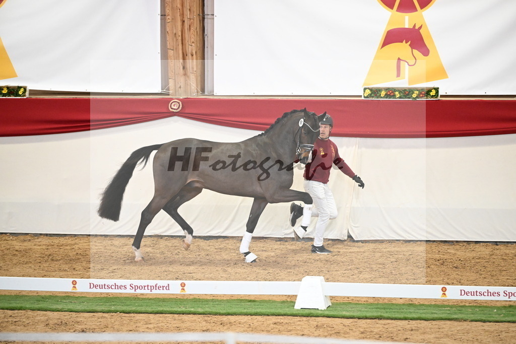 Kat.-Nr. 51 v. Donkey Boy_Lenzen_2250209 | hf-fotografie - Realisiert mit Pictrs.com