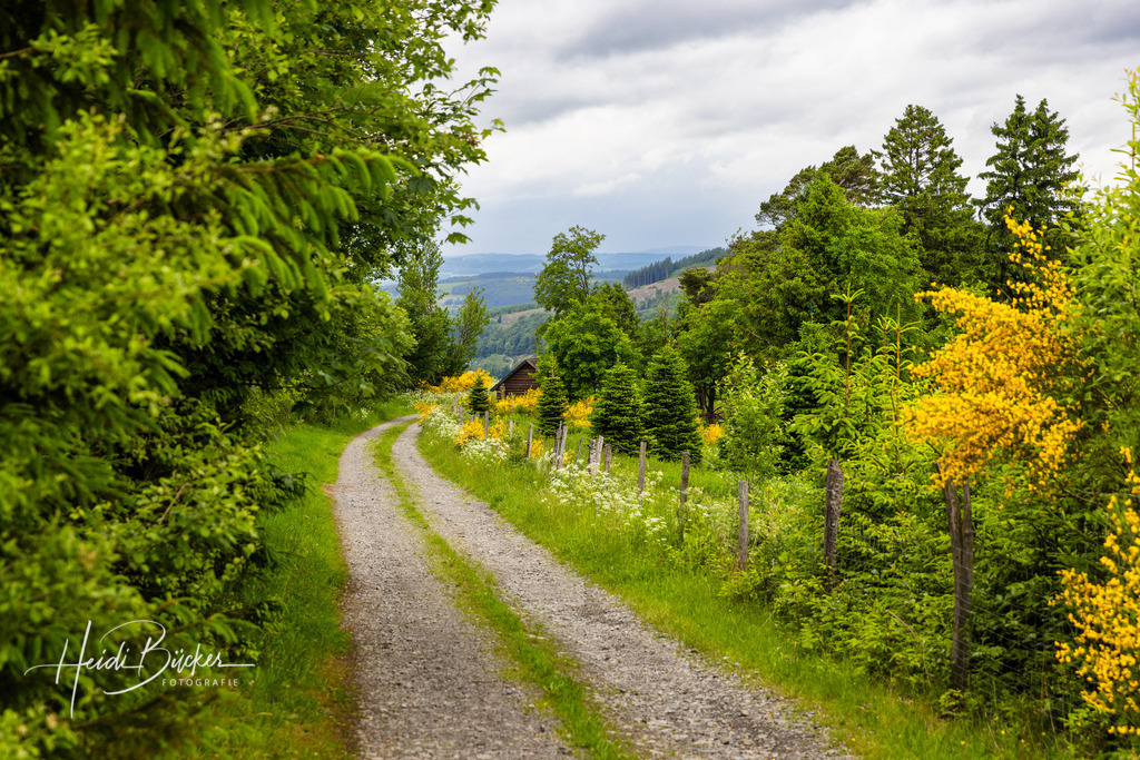 Westfeld und Umgebung 013 | Bilder und Impressionen zu jeder Jahreszeit aus dem Sauerland im Naturpark Sauerland-Rothaargebirge - Realisiert mit Pictrs.com