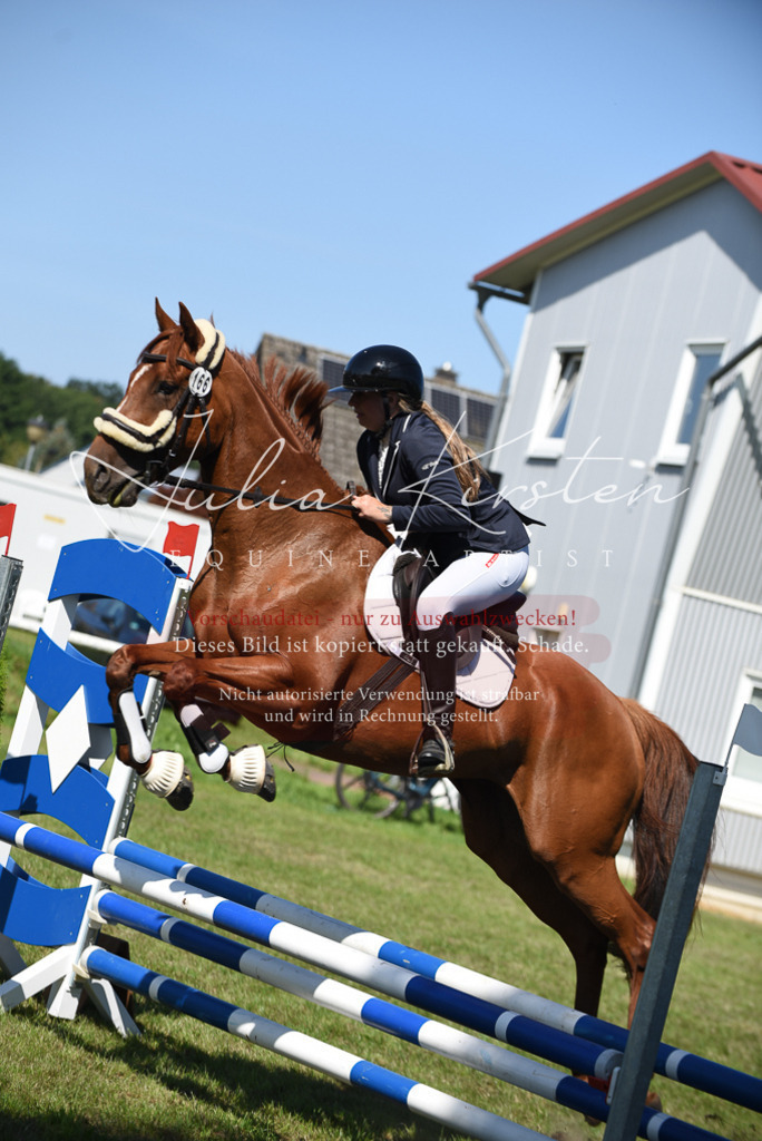 DSC_9348 | Pferde- und Turnierfotografie in Westsachsen. Pferdeportraits, Auftragszeichnungen und intuitive Kunst.