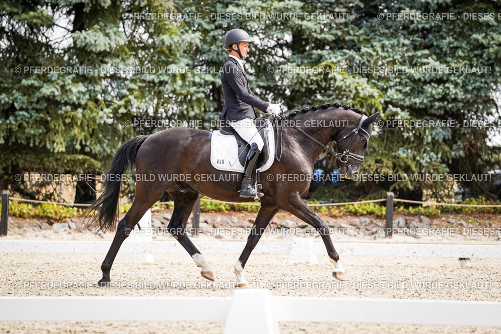 DSC00100 | Pferdegrafie