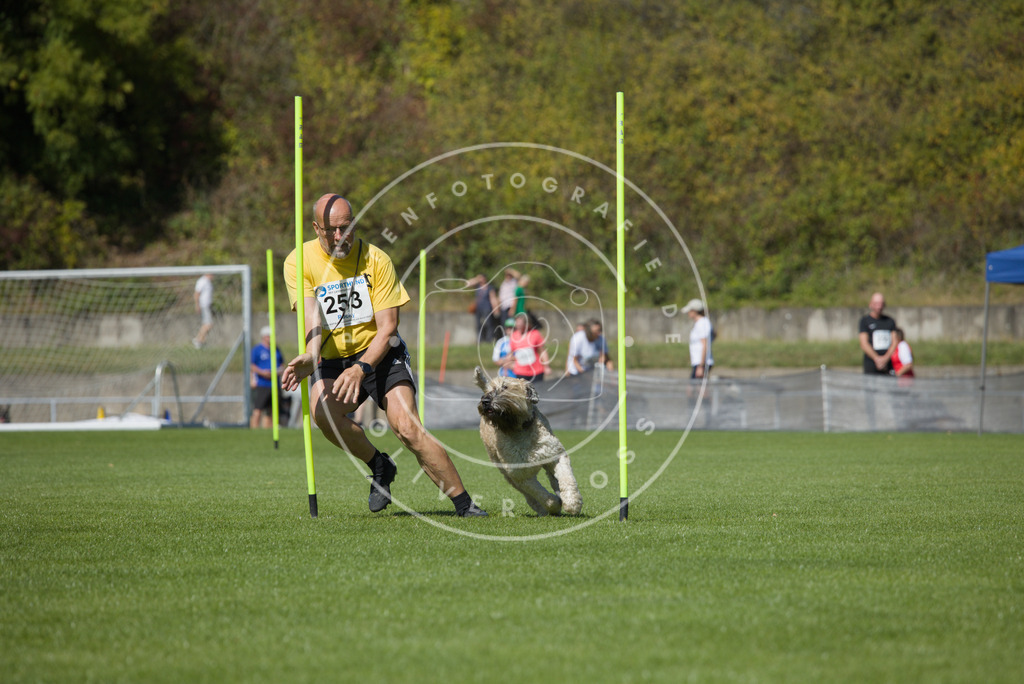 0L8A6329 | Hundefotografie, Tierfotograf, Pfotenfotografie, Fotoshooting Hund, Hunde Portrait, Hundesport, Hundeportraits, Heideshooting, Hunde, Sportfotograf, Hundefotograf, Turnierhundsport, THS,  - Realisiert mit Pictrs.com