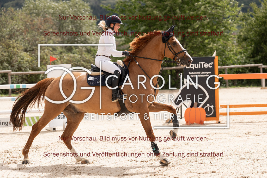 DSC06418 | Springturnier_Teamchallege_Talheim_2026, Clarissa_Schwär, Cascasall_2