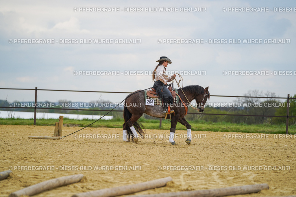 DSC07394 | Pferdegrafie