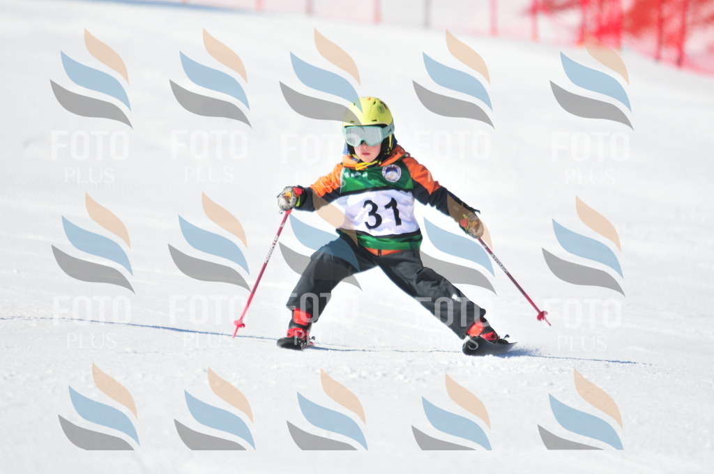 C2633 | holidayphoto