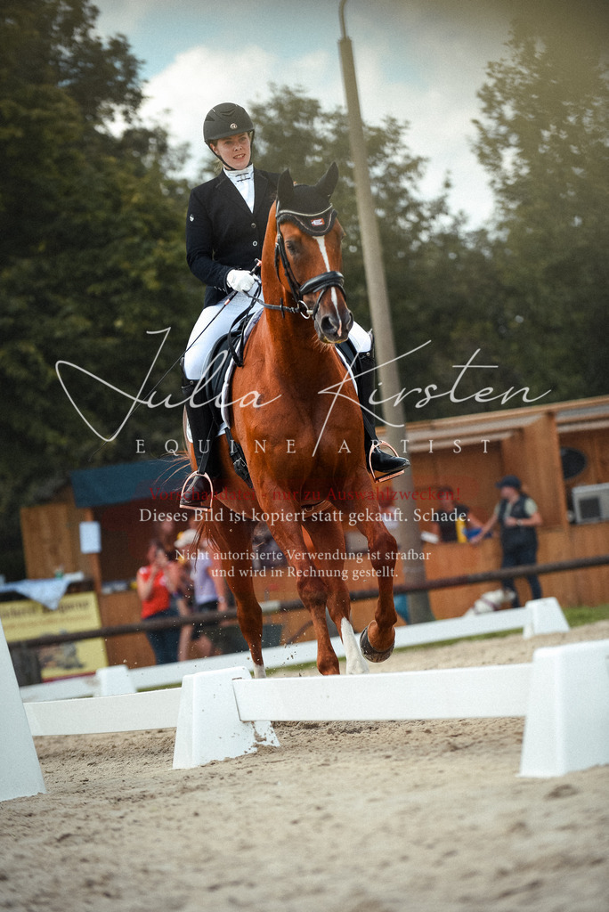 DSC_9123 | Pferde- und Turnierfotografie in Westsachsen. Pferdeportraits, Auftragszeichnungen und intuitive Kunst.