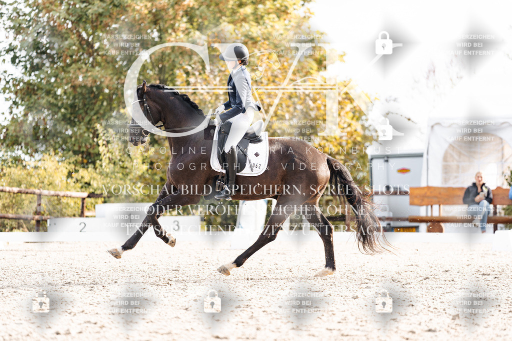 CK901114 | Turnierfotografie Pferdefotografie Trier Rheinland-Pfalz Pferdesport Reitsport Tierfotografie Sportfotografie Pferdevideo Pferdevideografie Equestrianvideography equestrianphotography  - Realisiert mit Pictrs.com
