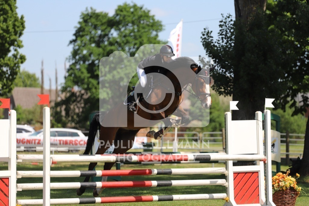 IMG_6436 | Pauline Ullmann Photography - Realisiert mit Pictrs.com