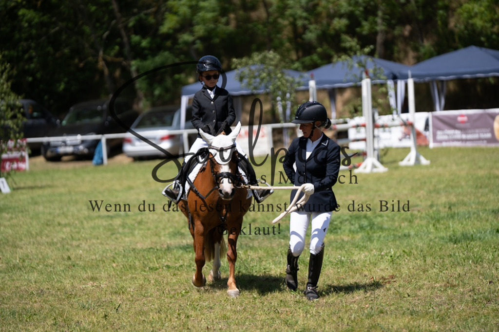 A7V06270 | Pferdefotograf