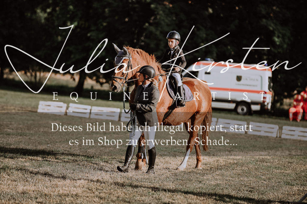 DSC_0082 | Pferde- und Turnierfotografie in Westsachsen. Pferdeportraits, Auftragszeichnungen und intuitive Kunst.