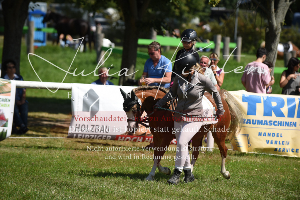 DSC_9701 | Pferde- und Turnierfotografie in Westsachsen. Pferdeportraits, Auftragszeichnungen und intuitive Kunst.