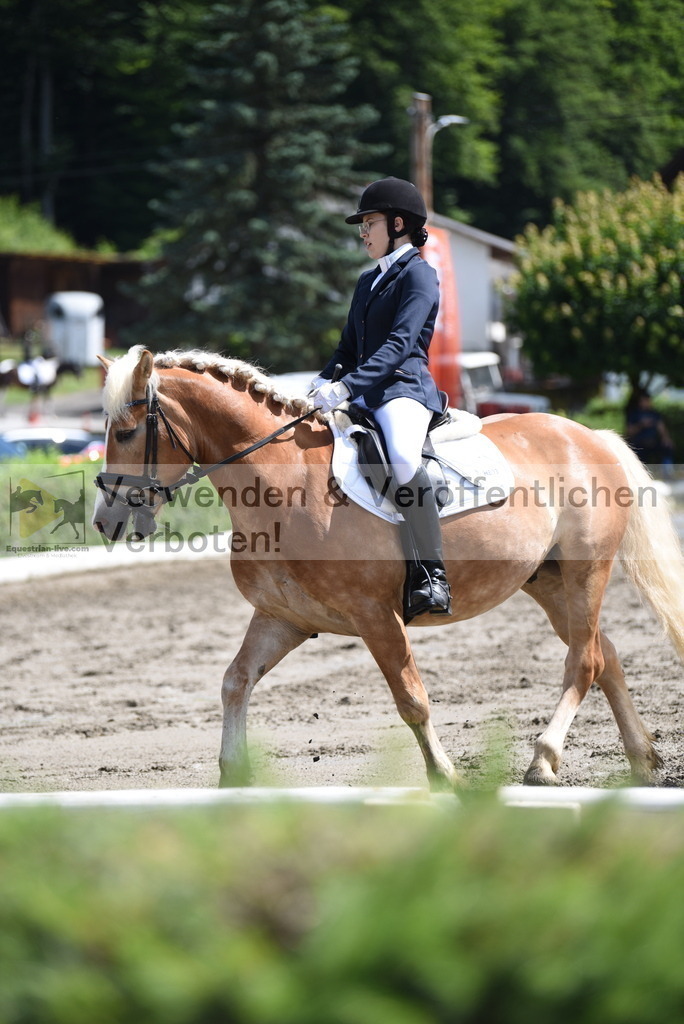 DSC_0410 | equestrian-live-com