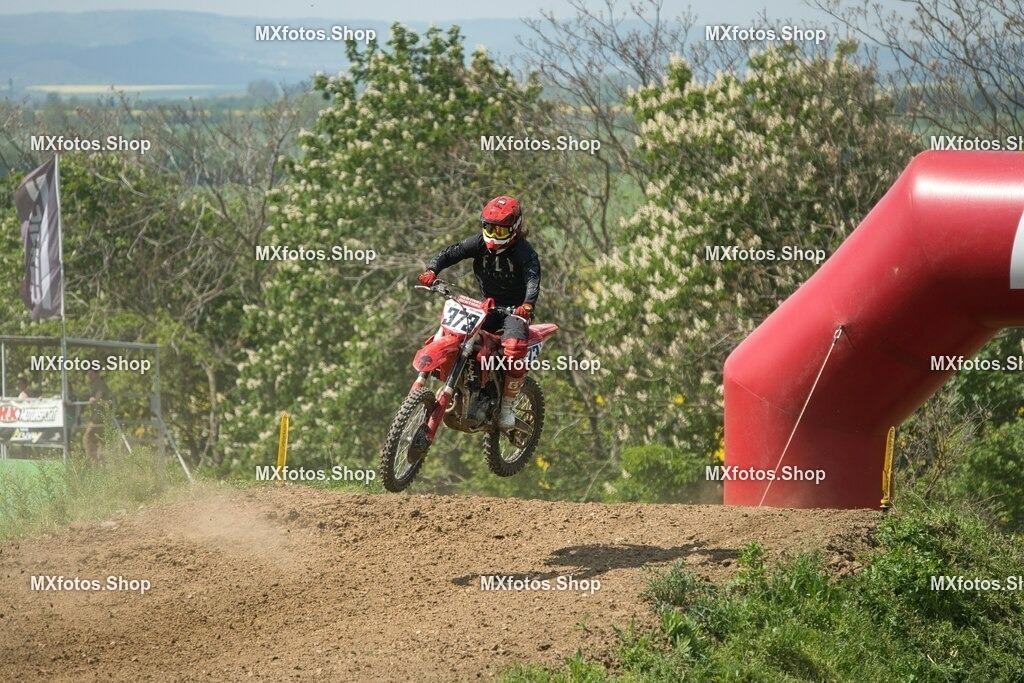 DSC02560 | MXfotos.Shop - Realisiert mit Pictrs.com