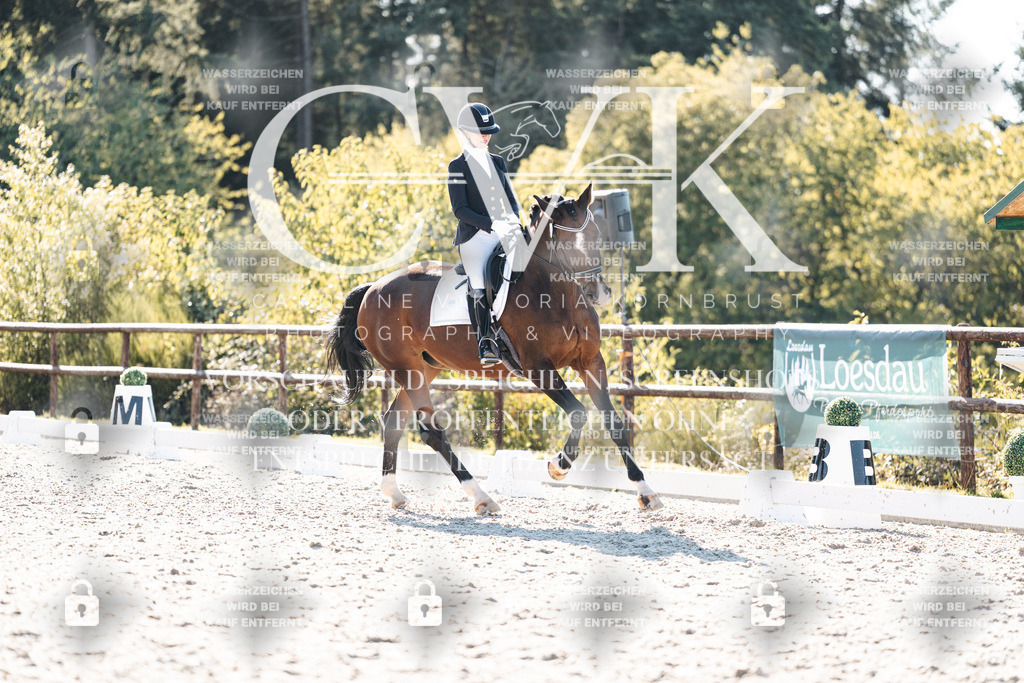 CK906515 | Turnierfotografie Pferdefotografie Trier Rheinland-Pfalz Pferdesport Reitsport Tierfotografie Sportfotografie Pferdevideo Pferdevideografie Equestrianvideography equestrianphotography  - Realisiert mit Pictrs.com