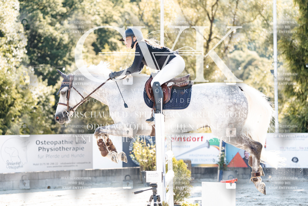 CK904456 | Turnierfotografie Pferdefotografie Trier Rheinland-Pfalz Pferdesport Reitsport Tierfotografie Sportfotografie Pferdevideo Pferdevideografie Equestrianvideography equestrianphotography  - Realisiert mit Pictrs.com