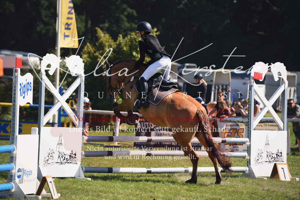 DSC_9238 | Pferde- und Turnierfotografie in Westsachsen. Pferdeportraits, Auftragszeichnungen und intuitive Kunst.