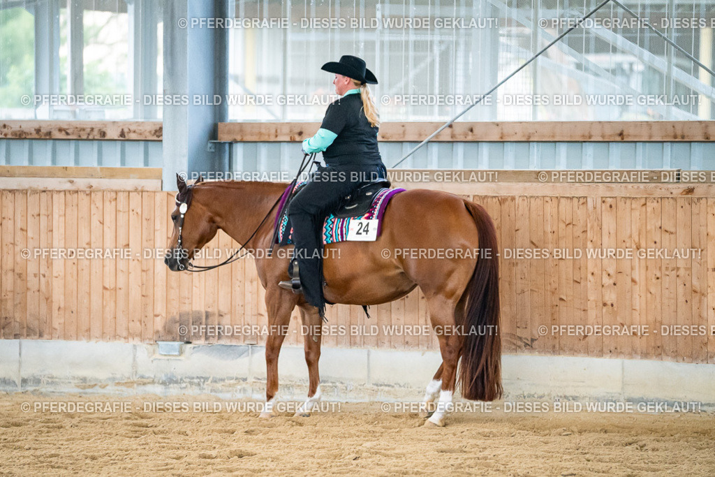 DSC09135 | Pferdegrafie