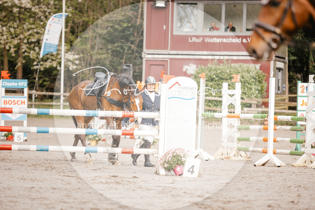3I6A3200 | Stimmungsvolle Portraits und Reitsportfotografie im Ruhrgebiet und im Münsterland.

Pferdefotografie, Hundefotografie, Tierfotografie, Reportagen, Portraits von Tier und Mensch, Turnierfotografie in Bochum, Recklinghausen, Marl, Haltern am See, Dülmen.. - Realisiert mit Pictrs.com