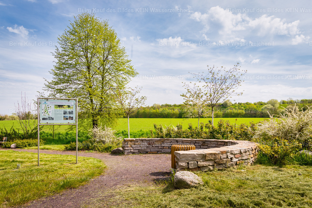 Mammendorf Wall _ Dorf-2850 | Park Eichenbarleben - Realisiert mit Pictrs.com