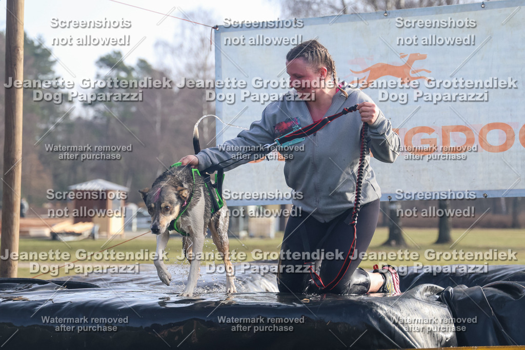 Dog Paparazzi - Strongdog North Mrz26-387 | Dog Paparazzi Jeanette Grottendiek Fotografie & Videografie - Realisiert mit Pictrs.com