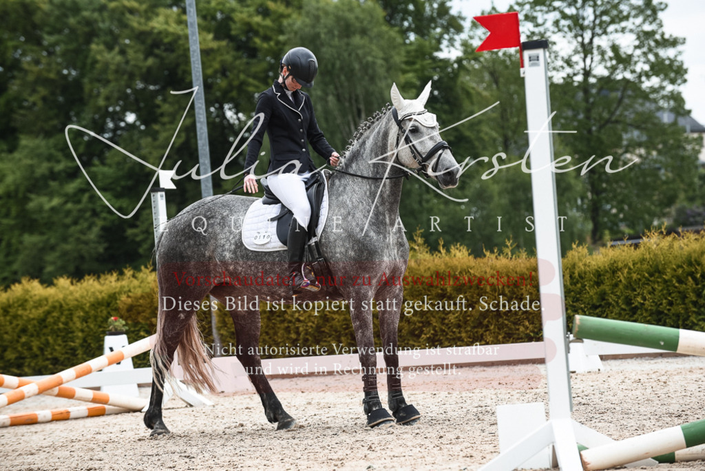 20230518_JK-Röhrsdorf-10-395 | Pferde- und Turnierfotografie in Westsachsen. Pferdeportraits, Auftragszeichnungen und intuitive Kunst.