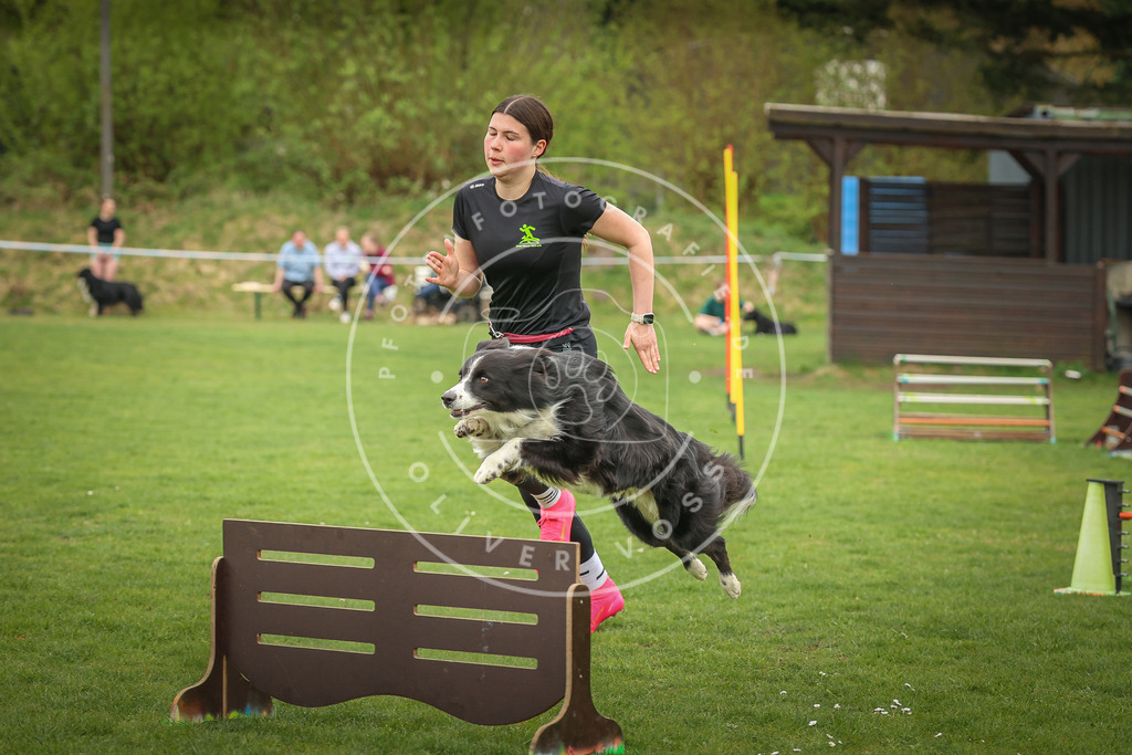 Pfotenfotografie_0L8A0826 | Hundefotografie, Tierfotograf, Pfotenfotografie, Fotoshooting Hund, Hunde Portrait, Hundesport, Hundeportraits, Heideshooting, Hunde, Sportfotograf, Hundefotograf, Turnierhundsport, THS,  - Realisiert mit Pictrs.com