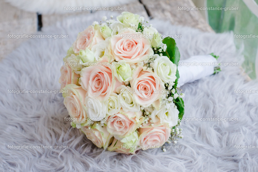 1025 | Fotografie Constance Gruber - Realisiert mit Pictrs.com