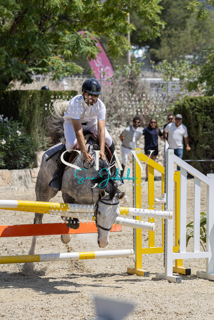 IMG_8037 | s-jay-photography - Realisiert mit Pictrs.com