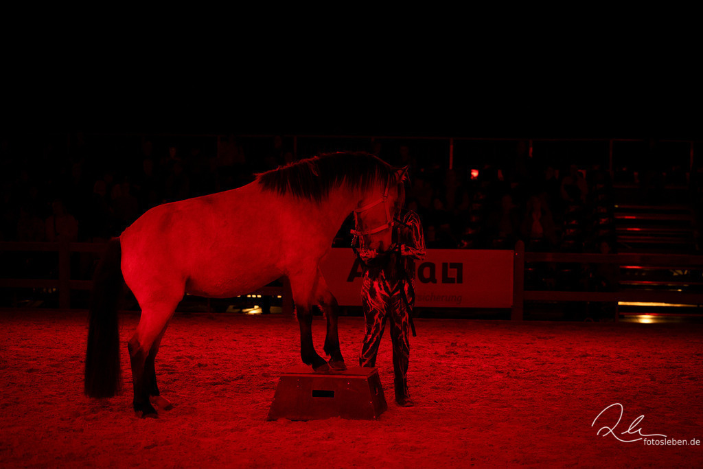 846A6426 | fotosleben - Realisiert mit Pictrs.com