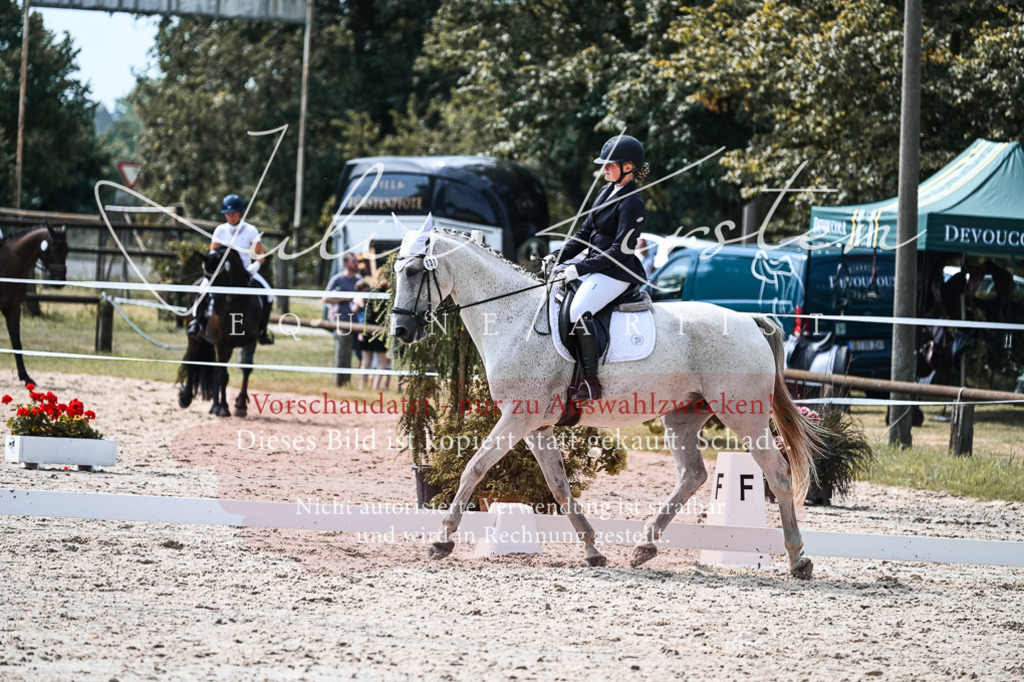 DSC_5293 | Pferde- und Turnierfotografie in Westsachsen. Pferdeportraits, Auftragszeichnungen und intuitive Kunst.