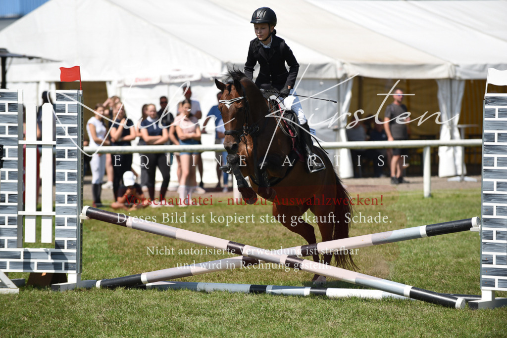 DSC_9908 | Pferde- und Turnierfotografie in Westsachsen. Pferdeportraits, Auftragszeichnungen und intuitive Kunst.