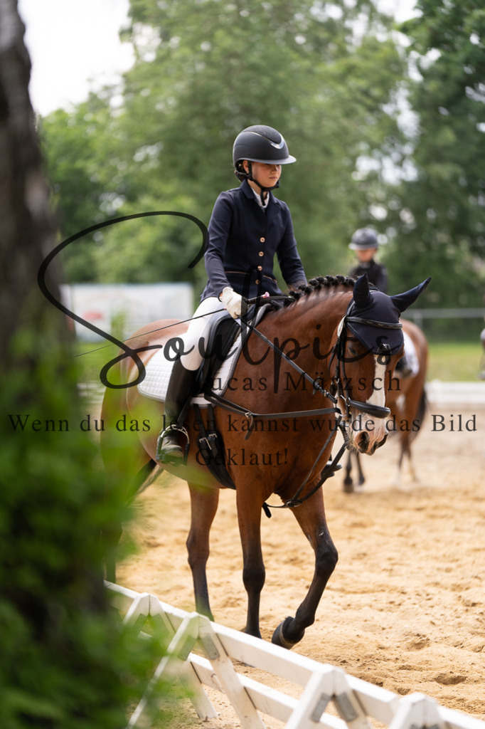 A7505996 | Turnier/Reitfotograf