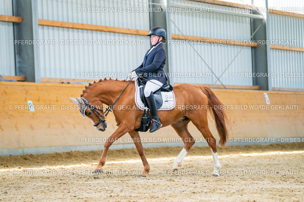 DSC07744 | Pferdegrafie