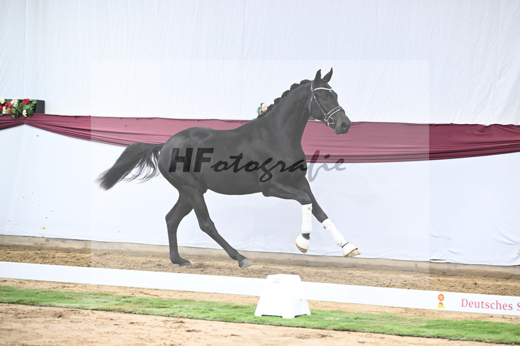 Kat-Nr. 23 Va Pensiero x De Niro_Christiane Schindele_47250736 | hf-fotografie - Realisiert mit Pictrs.com