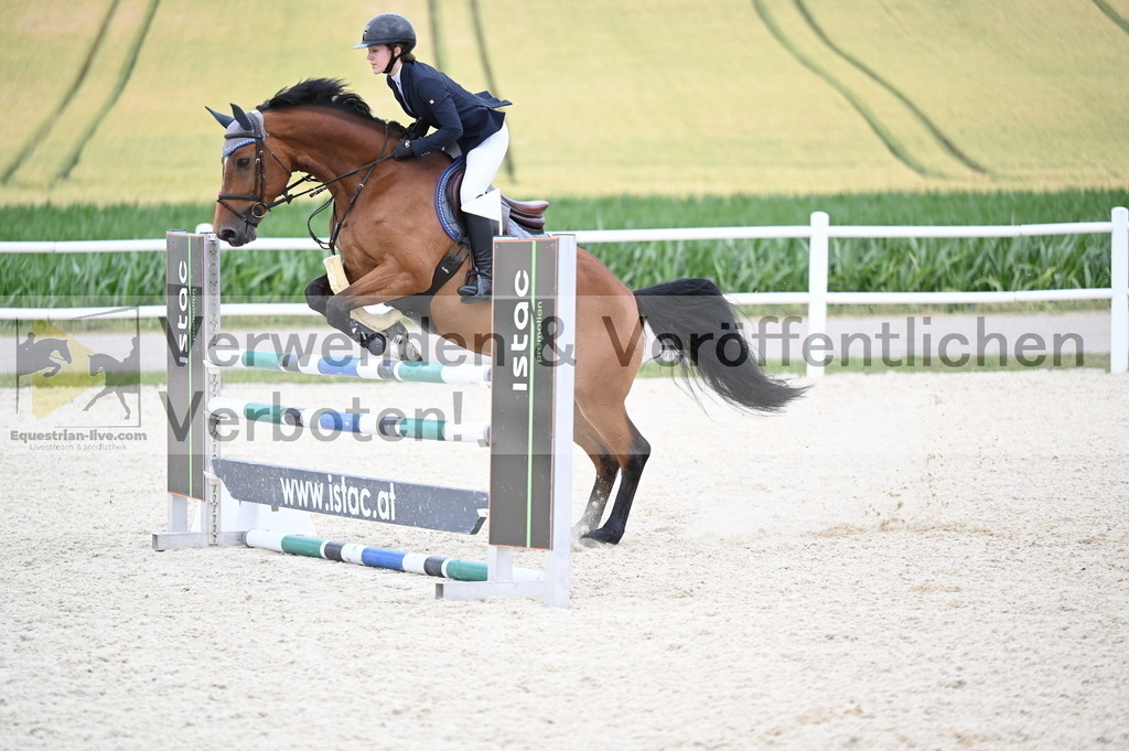 DSC_4584 | equestrian-live-com