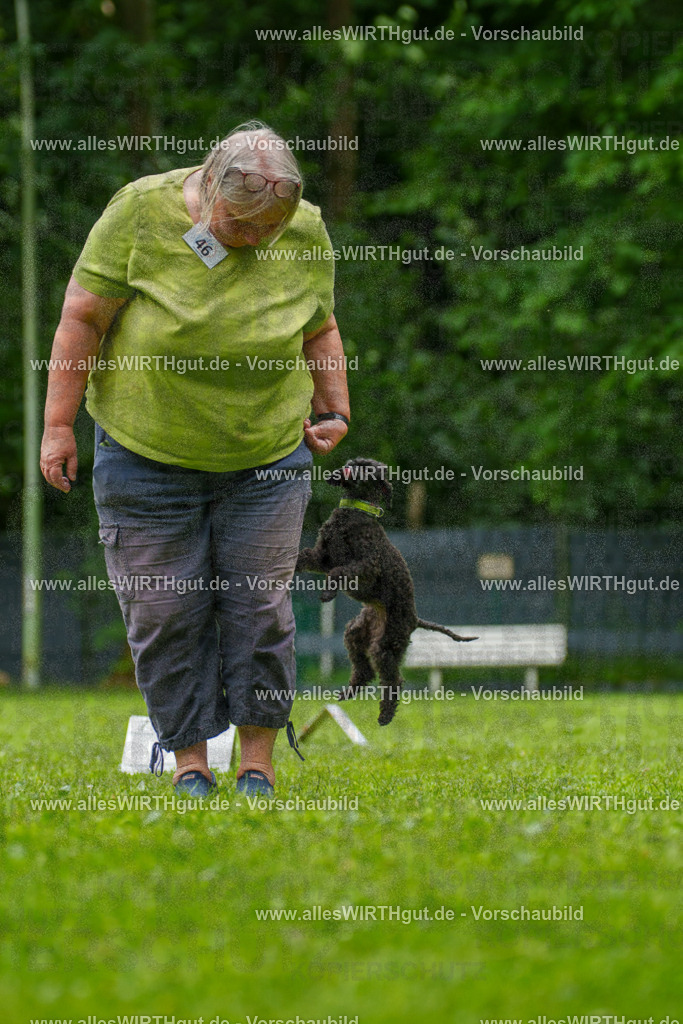 @allesWIRTHgut_Tierfotografie - www.allesWIRTHgut.de - 7R500413 | Professionelle Tierfotografie in Mönchengladbach von Daniel Wirth (allesWIRTHgut). Liebevolle & natürliche Bilder von Hunden & Katzen für unvergessliche Erinnerungen.