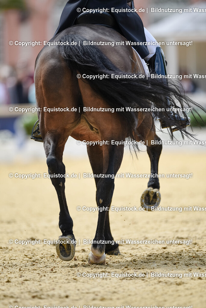 20250607_1_GP-Tour_Dressage_0135 | Foto: Thomas Hartig