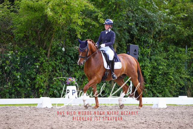 DKP41546 | Deine Turnierfotos vom Reitturnier online kaufen: Dressur, Springen & Siegerehrung. Professionelle Pferdefotografie aus dem Rheinland – als Download & Print.Alternative: Turnierfotograf für den Pferdesport: Finde deine Fotos von Dressur- und Springturnier