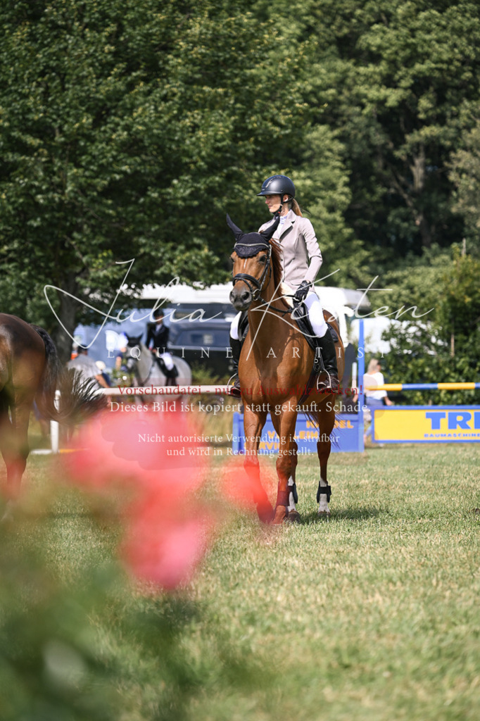 DSC_0683 | Pferde- und Turnierfotografie in Westsachsen. Pferdeportraits, Auftragszeichnungen und intuitive Kunst.