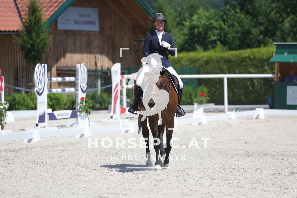 0P6A6072 | Willkommen bei Brunnmayr - Design & Fotografie – Ihrem Spezialisten für Reitturniere und Pferdeveranstaltungen in Oberösterreich, Salzburg und Bayern! Seit über 17 Jahren sind wir leidenschaftlich dabei.